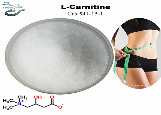 Kosmetik Bahan baku R L Carnitine Powder Untuk penurunan berat badan CAS 541-15-1 Belly Fat Burner Powder