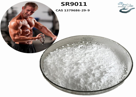 SR9011 Sarms Fat Burning Gym Powder CAS 1379686-29-9 Suplemen Binaraga