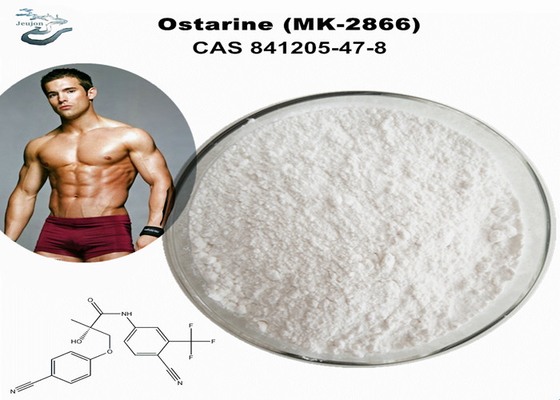 Ostarine Enobosarm MK 2866 Sarms Powder Untuk Mendapatkan Massa Otot Gym Powder