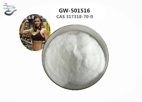 Cardarine Gym Powder CAS 317318-70-0 Sarm GW-501516 Untuk pertumbuhan otot